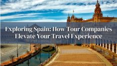 How Tour Companies Elevate Your Travel Experience