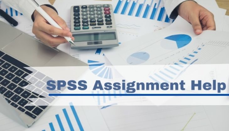 Leveraging SPSS Homework Help and AI for My Assignment Assistance